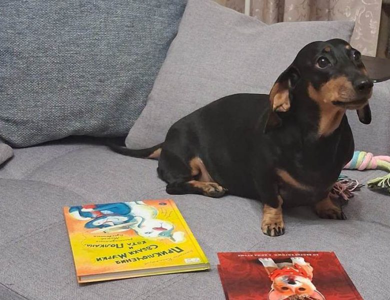 Собачьи истории с полок Читаксы