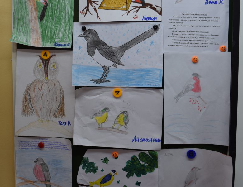 Птица — синица